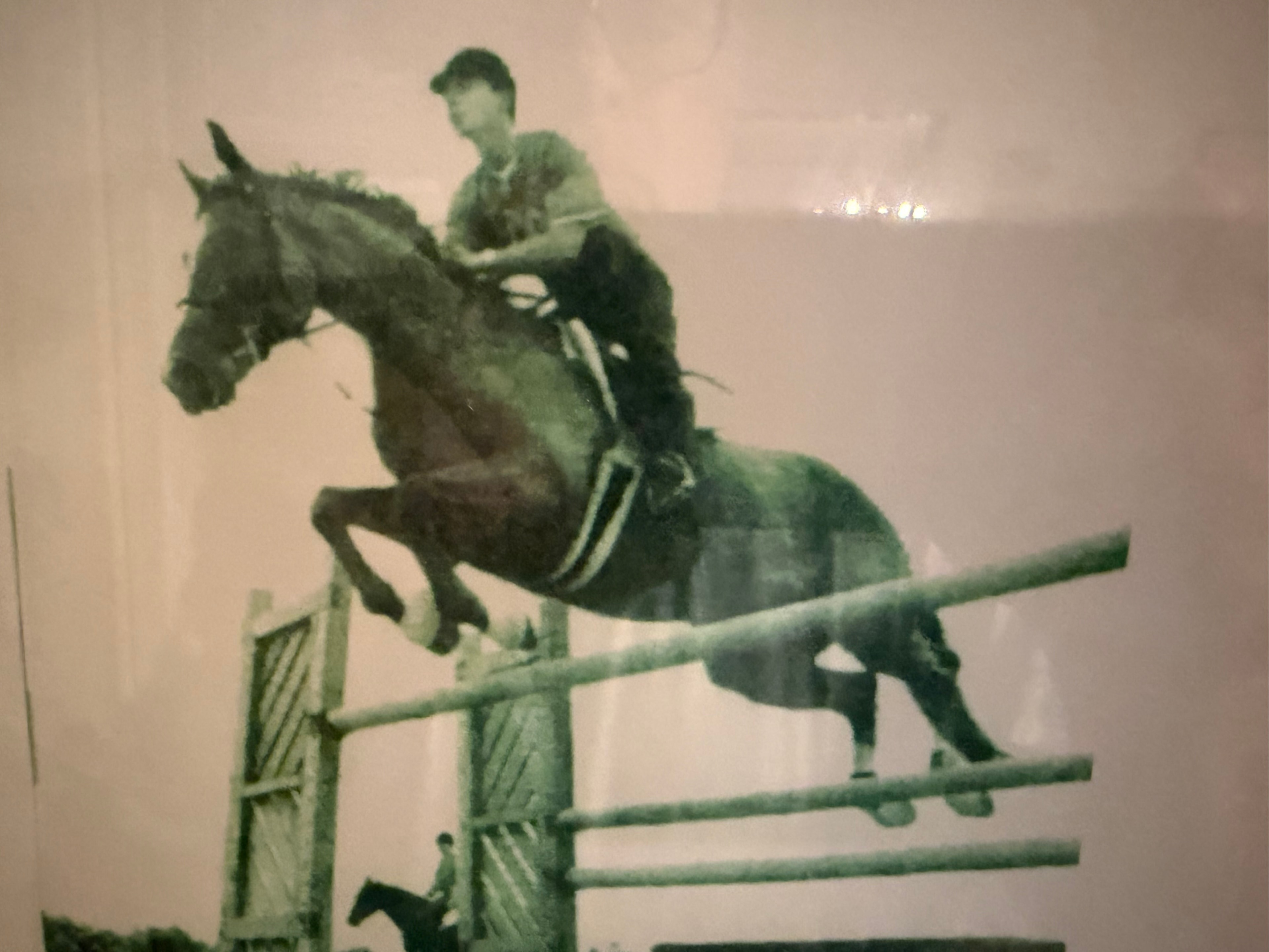 Pete Nathan, Owner and Head Instructor at Birch Hill Farm