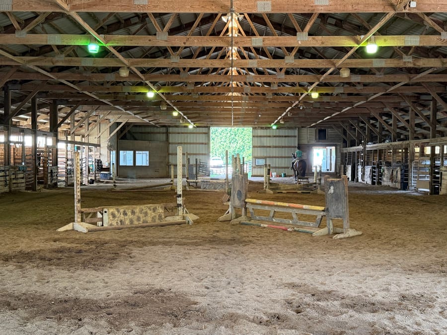 Horses enjoying daily turnout in the pasture at Birch Hill Farm
